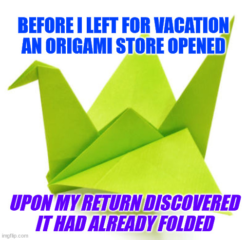 Origami Store Folds | BEFORE I LEFT FOR VACATION AN ORIGAMI STORE OPENED; UPON MY RETURN DISCOVERED
IT HAD ALREADY FOLDED | image tagged in origami crane,store,paper,opening,closed | made w/ Imgflip meme maker