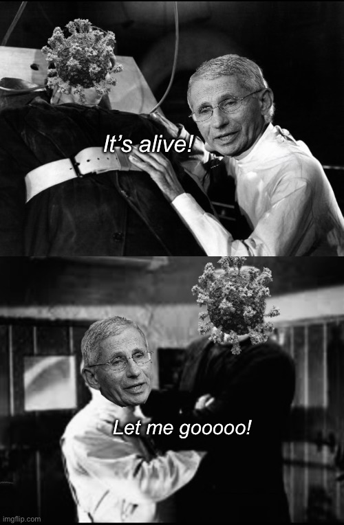 Dr Faucistein | It’s alive! Let me gooooo! | image tagged in politics,memes | made w/ Imgflip meme maker