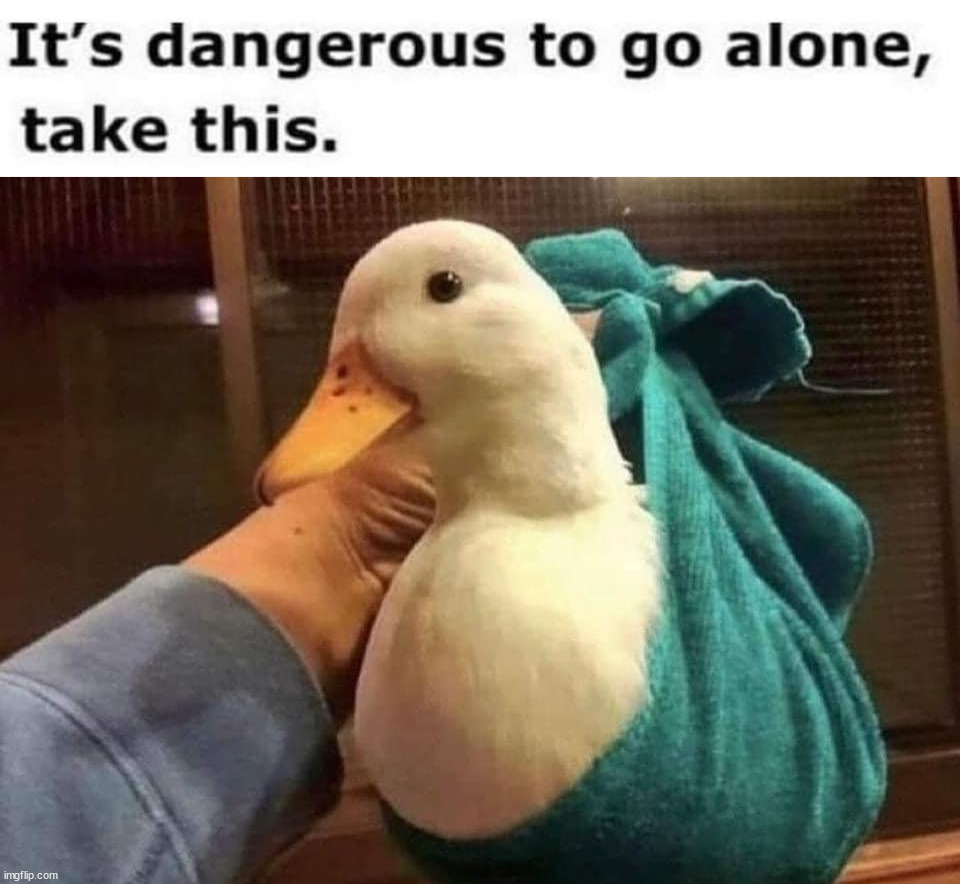 image tagged in ducks | made w/ Imgflip meme maker