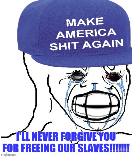 mad wojak | I'LL NEVER FORGIVE YOU FOR FREEING OUR SLAVES!!!!!!! | image tagged in mad wojak | made w/ Imgflip meme maker