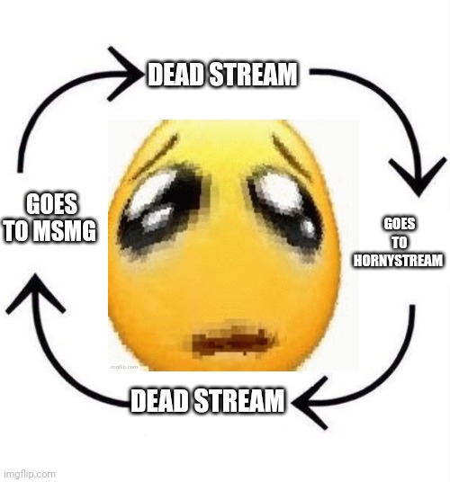 GOES TO HORNYSTREAM; DEAD STREAM; GOES TO MSMG; DEAD STREAM | made w/ Imgflip meme maker