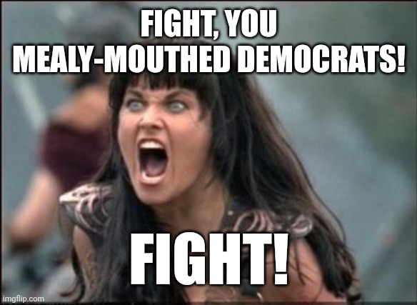 Angry Xena | FIGHT, YOU MEALY-MOUTHED DEMOCRATS! FIGHT! | image tagged in angry xena | made w/ Imgflip meme maker