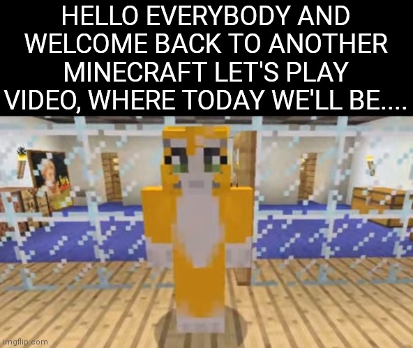 Do you remember? | HELLO EVERYBODY AND WELCOME BACK TO ANOTHER MINECRAFT LET'S PLAY VIDEO, WHERE TODAY WE'LL BE.... | image tagged in cat,minecraft | made w/ Imgflip meme maker