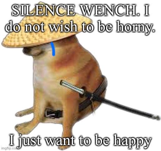 Silence wench | SILENCE WENCH. I do not wish to be horny. I just want to be happy | image tagged in silence wench | made w/ Imgflip meme maker