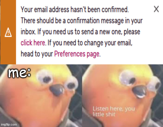 just accept my email address, i know its a broken email but do it anyway. | me: | image tagged in listen here you little shit bird,fandom,wiki,fandom wiki,stop reading the tags | made w/ Imgflip meme maker
