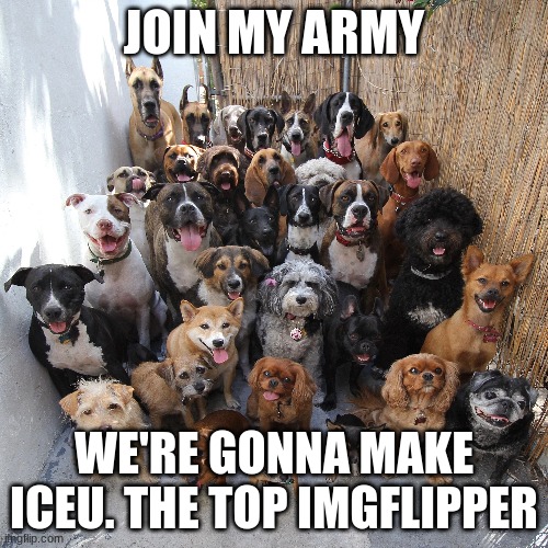 repost in another stream, i need an army | JOIN MY ARMY; WE'RE GONNA MAKE ICEU. THE TOP IMGFLIPPER | image tagged in iceu,i have an army | made w/ Imgflip meme maker