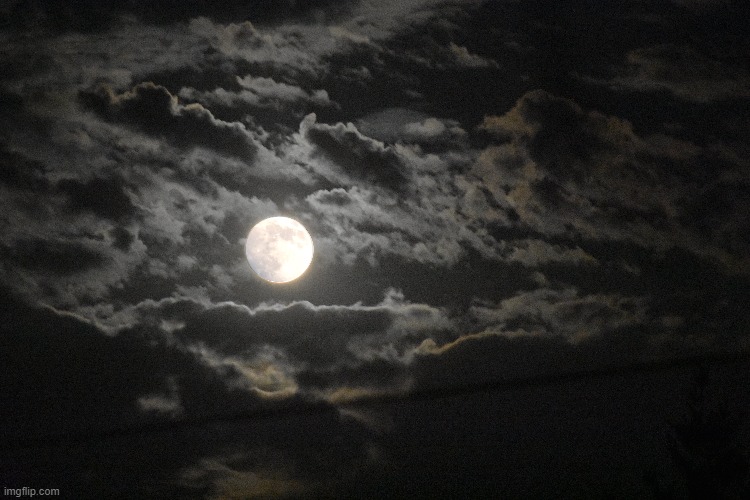 the super moon the other night | image tagged in super moon,strawberry moon | made w/ Imgflip meme maker