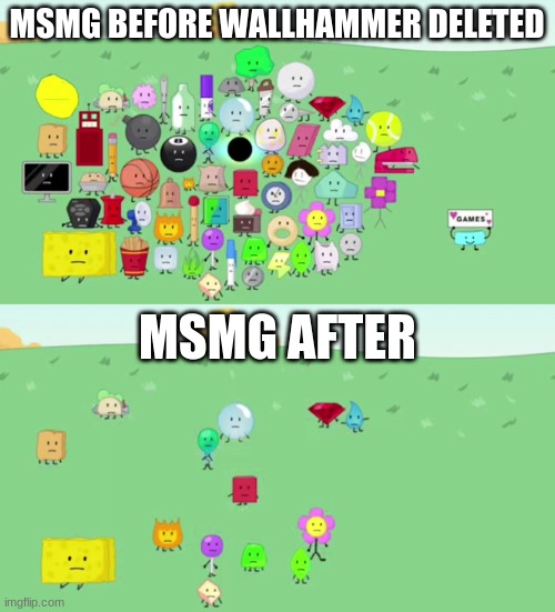 MSMG BEFORE WALLHAMMER DELETED; MSMG AFTER | made w/ Imgflip meme maker