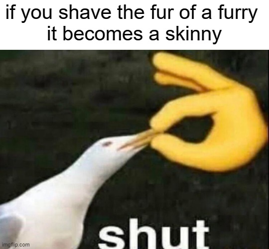 nope | if you shave the fur of a furry 
it becomes a skinny | image tagged in shut | made w/ Imgflip meme maker