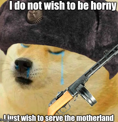 Basically a take on what Hans did | I do not wish to be horny; I just wish to serve the motherland | made w/ Imgflip meme maker