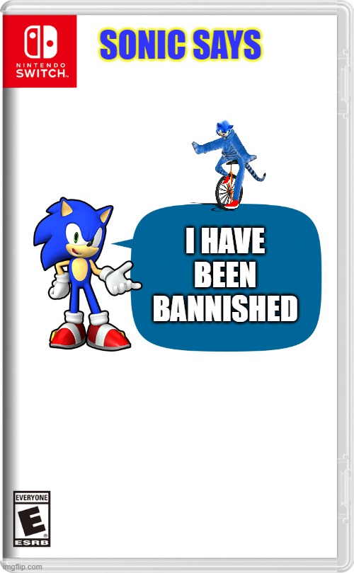 The next sonic game | SONIC SAYS; I HAVE BEEN BANNISHED | image tagged in nintendo switch,sonic the hedgehog,sonic says,weird,nintendo | made w/ Imgflip meme maker