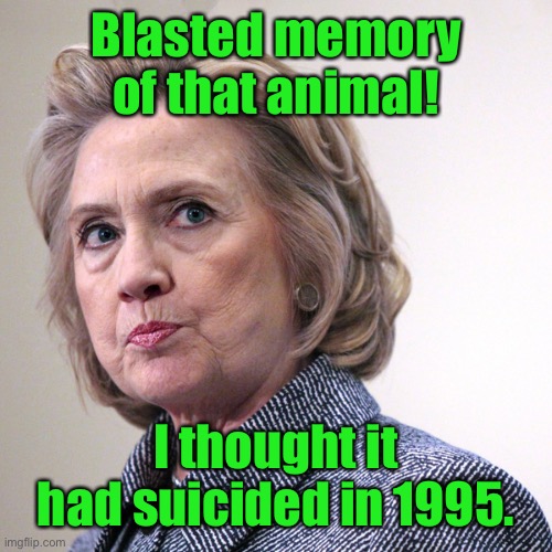 hillary clinton pissed | Blasted memory of that animal! I thought it had suicided in 1995. | image tagged in hillary clinton pissed | made w/ Imgflip meme maker