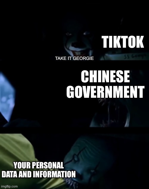 My new template | TIKTOK; CHINESE GOVERNMENT; YOUR PERSONAL DATA AND INFORMATION | image tagged in pennywise take it georgie,memes,tiktok,tiktok sucks,funny memes,funny | made w/ Imgflip meme maker