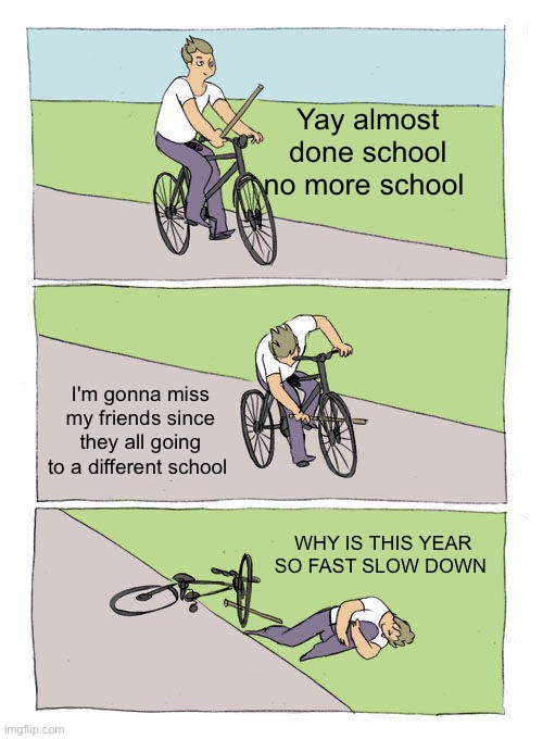 Bike Fall Meme | Yay almost done school no more school; I'm gonna miss my friends since they all going to a different school; WHY IS THIS YEAR SO FAST SLOW DOWN | image tagged in memes,bike fall | made w/ Imgflip meme maker