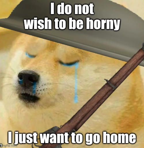 sad doge | I do not wish to be horny; I just want to go home | image tagged in sad doge | made w/ Imgflip meme maker