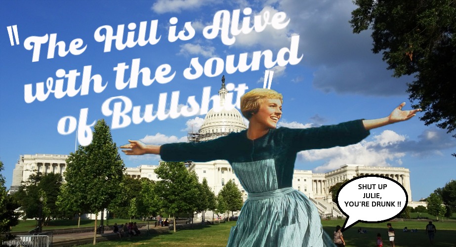 The Sound of Bullsh*t | SHUT UP JULIE, YOU'RE DRUNK !! | image tagged in memes,the sound of music,capitol hill,government corruption,political meme | made w/ Imgflip meme maker