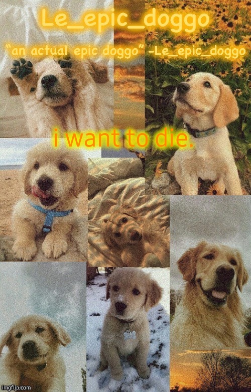 Doggo temp by doggo. Wait what that’s confusing | i want to die. | image tagged in doggo temp by doggo wait what that s confusing | made w/ Imgflip meme maker