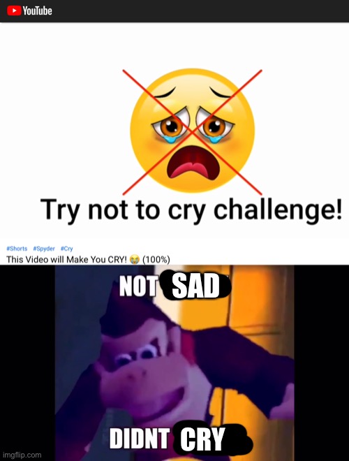 SAD; CRY | made w/ Imgflip meme maker