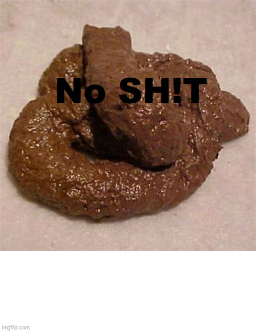 No Sh!t | image tagged in poop,pooping,dump | made w/ Imgflip meme maker