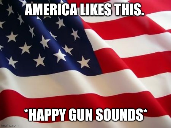 American flag | AMERICA LIKES THIS. *HAPPY GUN SOUNDS* | image tagged in american flag | made w/ Imgflip meme maker