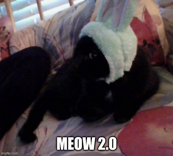 meow | MEOW 2.0 | image tagged in bunny ninja,meow,memes,funny,cute,smol | made w/ Imgflip meme maker