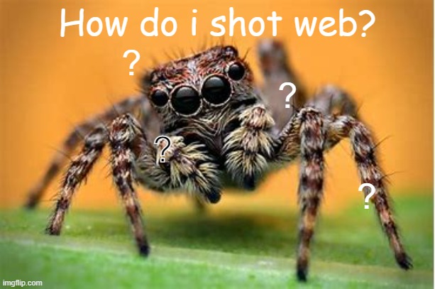 How do I shot web? | How do i shot web? ? ? ? ? | image tagged in memes,spiders,spooders,insects | made w/ Imgflip meme maker