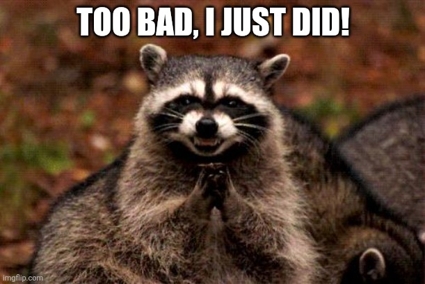 Evil Plotting Raccoon Meme | TOO BAD, I JUST DID! | image tagged in memes,evil plotting raccoon | made w/ Imgflip meme maker