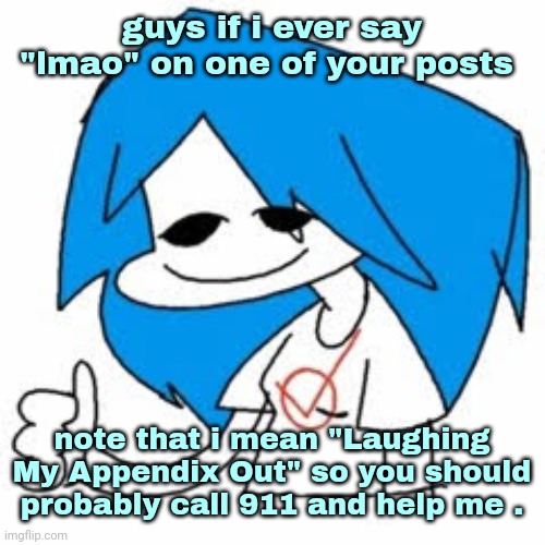 NuSky. | guys if i ever say "lmao" on one of your posts; note that i mean "Laughing My Appendix Out" so you should probably call 911 and help me . | image tagged in nusky | made w/ Imgflip meme maker