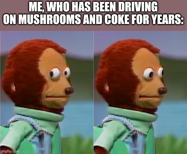 puppet Monkey looking away | ME, WHO HAS BEEN DRIVING ON MUSHROOMS AND COKE FOR YEARS: | image tagged in puppet monkey looking away | made w/ Imgflip meme maker