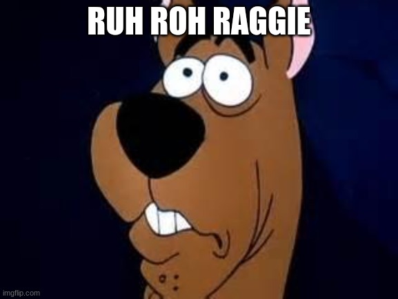 Scooby Doo Surprised | RUH ROH RAGGIE | image tagged in scooby doo surprised | made w/ Imgflip meme maker