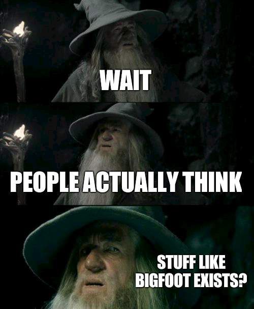 I would think its a joke since the evidence is unsustainable | WAIT; PEOPLE ACTUALLY THINK; STUFF LIKE BIGFOOT EXISTS? | image tagged in memes,confused gandalf,cryptids | made w/ Imgflip meme maker