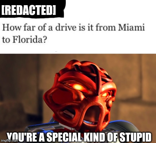 You stupid! | [REDACTED]; YOU'RE A SPECIAL KIND OF STUPID | image tagged in you're a special kind of stupid - bionicle edition | made w/ Imgflip meme maker