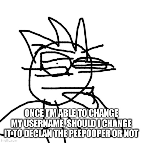 Blank Transparent Square Meme | ONCE I’M ABLE TO CHANGE MY USERNAME, SHOULD I CHANGE IT TO DECLAN THE PEEPOOPER OR NOT | image tagged in memes,blank transparent square | made w/ Imgflip meme maker