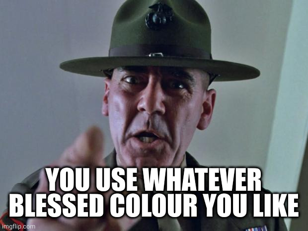 Drill Sergeant | YOU USE WHATEVER BLESSED COLOUR YOU LIKE | image tagged in drill sergeant | made w/ Imgflip meme maker