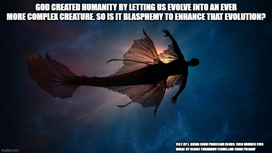 GOD CREATED HUMANITY BY LETTING US EVOLVE INTO AN EVER MORE COMPLEX CREATURE. SO IS IT BLASPHEMY TO ENHANCE THAT EVOLUTION? TEXT BY L. BRIAR FROM PORCELAIN READS: THEN NUMBER TWO
IMAGE BY SERGEI TOKMAKOV TERMS.LAW FROM PIXABAY | made w/ Imgflip meme maker