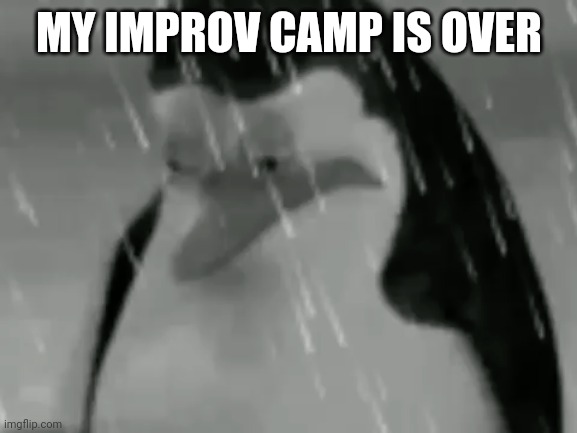 Sadge | MY IMPROV CAMP IS OVER | image tagged in sadge | made w/ Imgflip meme maker