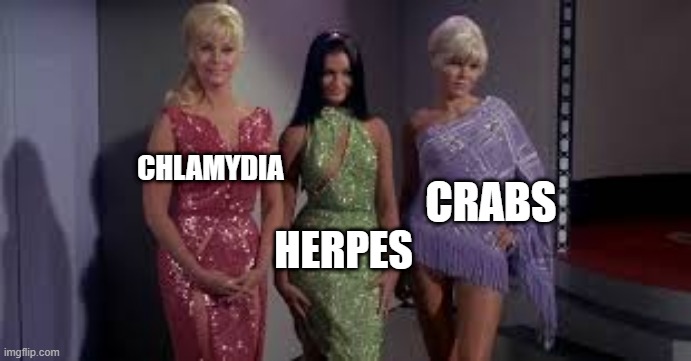 Mudd's Women |  CHLAMYDIA; CRABS; HERPES | image tagged in star trek babes | made w/ Imgflip meme maker