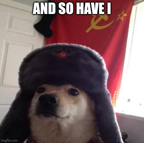 Russian Doge | AND SO HAVE I | image tagged in russian doge | made w/ Imgflip meme maker