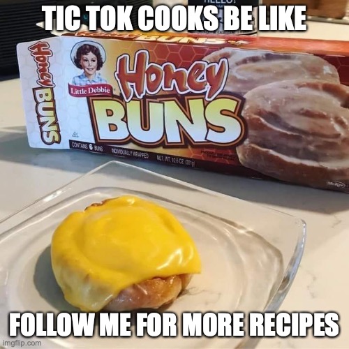 Tic Tok | TIC TOK COOKS BE LIKE; FOLLOW ME FOR MORE RECIPES | image tagged in tic tok | made w/ Imgflip meme maker