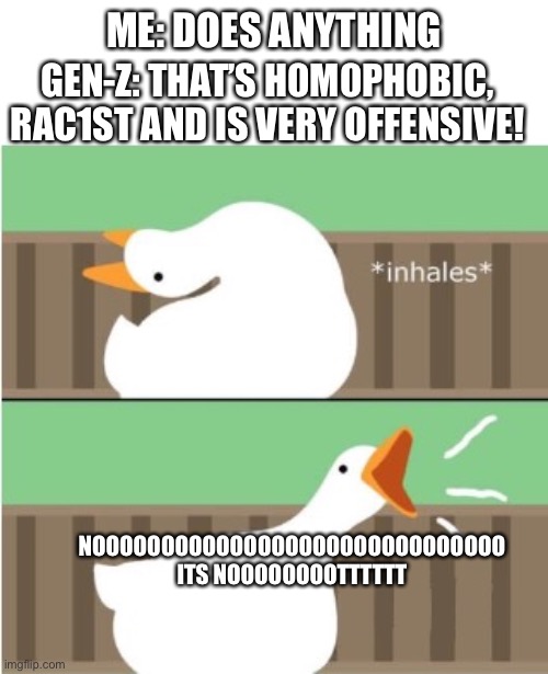 It’s true | ME: DOES ANYTHING; GEN-Z: THAT’S H0M0PHOBIC, RAC1ST AND IS VERY OFFENSIVE! NOOOOOOOOOOOOOOOOOOOOOOOOOOOOOO ITS NOOOOOOOOTTTTTT | image tagged in untitled goose game honk | made w/ Imgflip meme maker