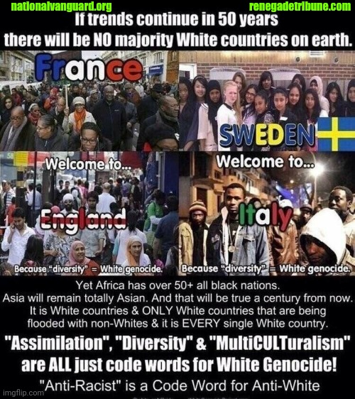 Multiculturalism / nationalvanguard.org | nationalvanguard.org; renegadetribune.com | image tagged in multiculturalism / nationalvanguard org | made w/ Imgflip meme maker