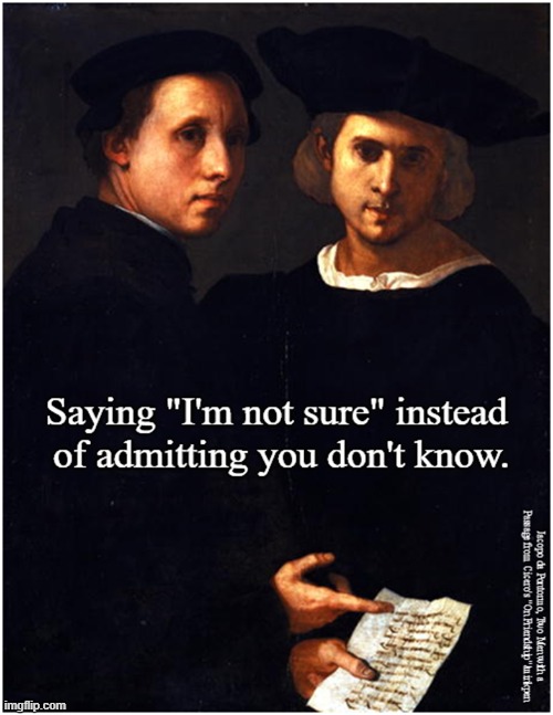 Not Sure | image tagged in art memes,mannerist,i don't know,i'm not sure,oil painting,portrait | made w/ Imgflip meme maker