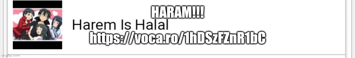 HARAM!!! https://voca.ro/1hDSzFZnR1bC | made w/ Imgflip meme maker