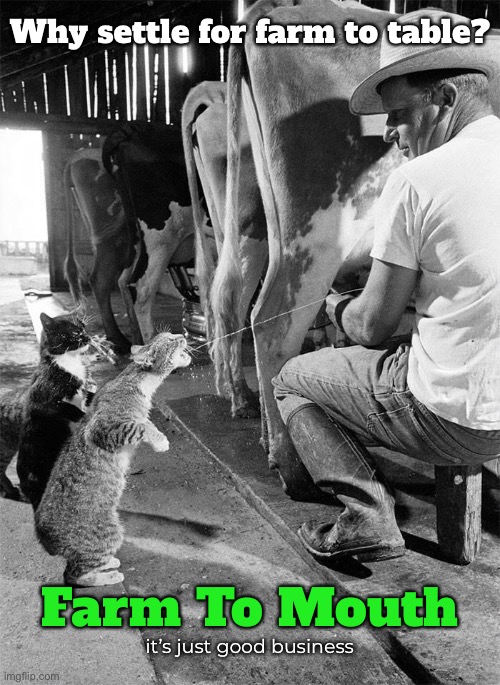 Forget the cat dish, just squirt it in my mouth. |  Why settle for farm to table? Farm To Mouth; it’s just good business | image tagged in funny memes,farm to table,funny cats,funny cat memes | made w/ Imgflip meme maker