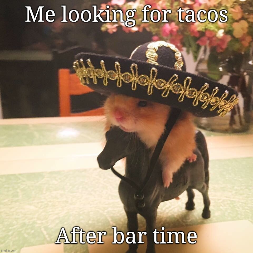 Taco time | Me looking for tacos; After bar time | image tagged in hamster horse | made w/ Imgflip meme maker