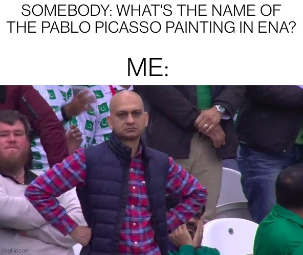 Here's an Ena meme I made | SOMEBODY: WHAT'S THE NAME OF THE PABLO PICASSO PAINTING IN ENA? ME: | image tagged in disappointed muhammad sarim akhtar | made w/ Imgflip meme maker