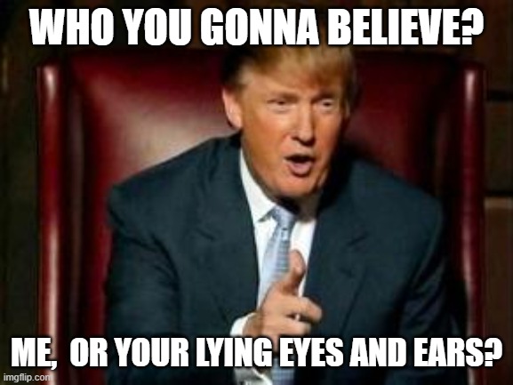 The World According to Trump | WHO YOU GONNA BELIEVE? ME,  OR YOUR LYING EYES AND EARS? | image tagged in donald trump | made w/ Imgflip meme maker