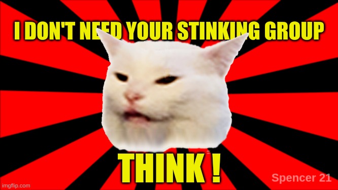 Groupthink | THINK ! | image tagged in smudgeburst your stinking group,smudge the cat,group,think about it,what if i told you,what do we want | made w/ Imgflip meme maker