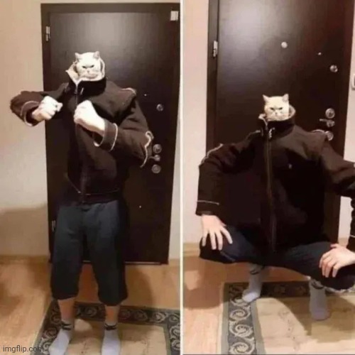 Cat man! | image tagged in cat man | made w/ Imgflip meme maker