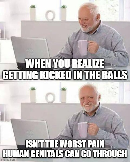 . | WHEN YOU REALIZE GETTING KICKED IN THE BALLS; ISN'T THE WORST PAIN HUMAN GENITALS CAN GO THROUGH | image tagged in memes,hide the pain harold | made w/ Imgflip meme maker